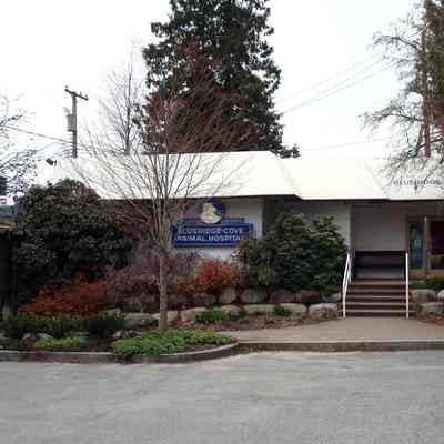 Blueridge-Cove Animal Hospital - 1