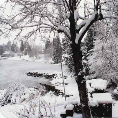 4270 - Deep Cove heavy snow along shore.tif