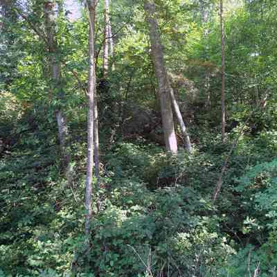 Hogan's Pools Park - 2