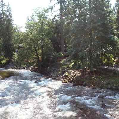 Seymour River looking north Riverside Dr - 1