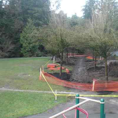 4034 - Myrtle Park-Tree Planting-1.tif