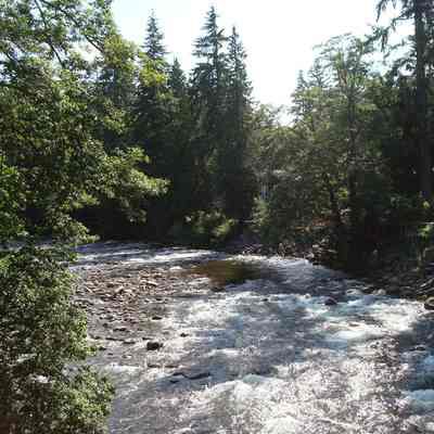 Seymour River looking north Riverside Dr - 2