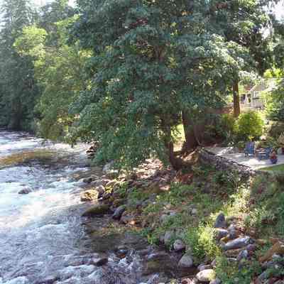 Seymour River looking north Riverside Dr - 4