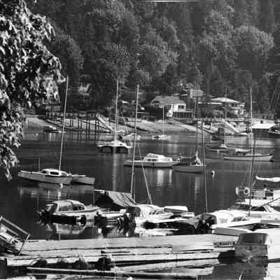 4922 - North Shore of Deep Cove c1960s.tif