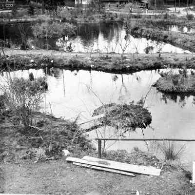 2829 - Hogans Pools 1, 1950.tif
