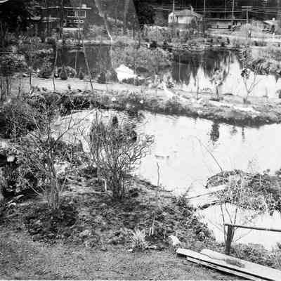 2830 - Hogans Pools 2, 1950.tif