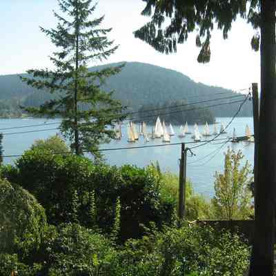 Deep Cove Yacht Club Regatta, 2009 - 1