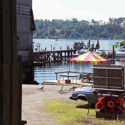 3168 - Dollarton Shipyards; picnic area and wharf in back of their property CIMG0063.tif