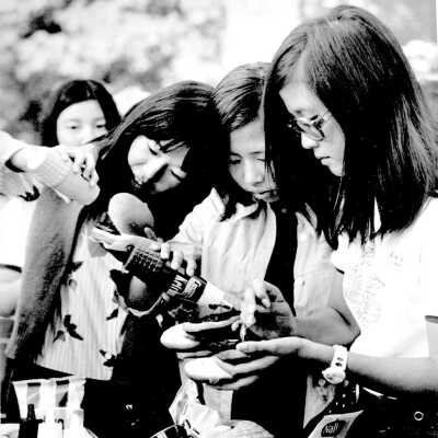 Japanese Students c 1974