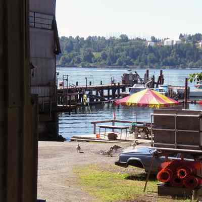 3169 - Dollarton Shipyards; picnic area and wharf in back of their property CIMG0064.tif