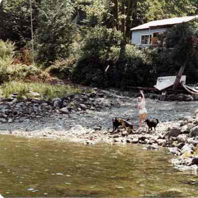 2508 - Allardice cabin Coldwell Creek.tif