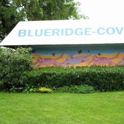 Blueridge-Cove Animal Hospital mural - 02