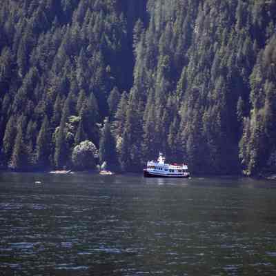 Harbour Princess near Wigwam Inn