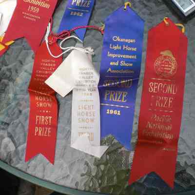 3409 - Various horse competition ribbons, recd by Sharron Hogan CIMG0178.JPG