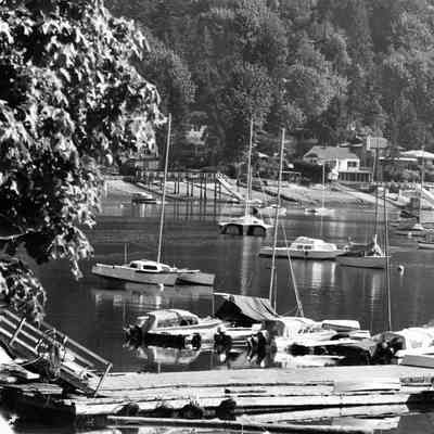 3319 - Deep Cove, north shore 1950s.tif