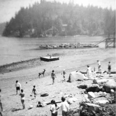 3060 - Deer on Panorama Beach, c1950s.tif
