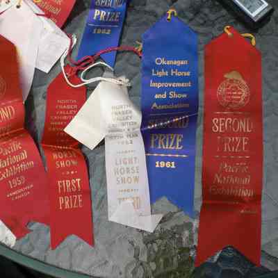 3410 - Various horse competition ribbons, recd by Sharron Hogan CIMG0179.JPG
