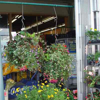 Super Valu Dollarton Store - 2