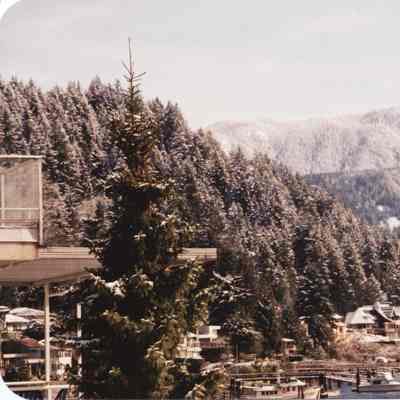4273 - Deep Cove snowy morning.tif