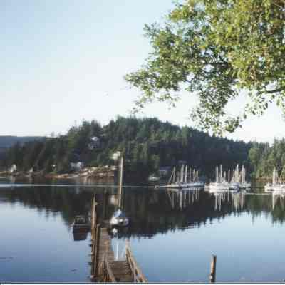 4277 - Deep Cove reflections on still water.tif