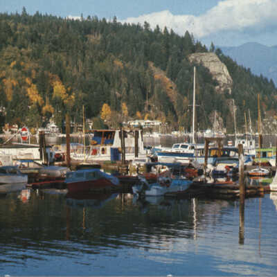 Deep Cove Postcard Front and Back