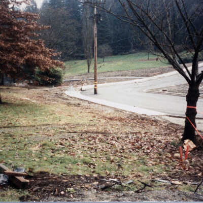 DC Park foot of Rockcliff Sep 1986
