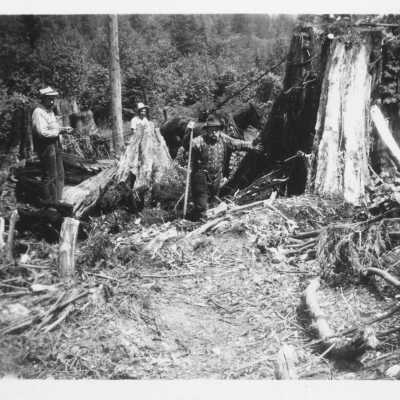 Corner of Dollarton & Mt. Seymour Prkwy