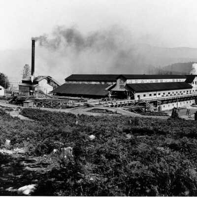 The Mill from the Manager's House