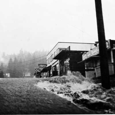 Deep Cove harbour with character boats at dock