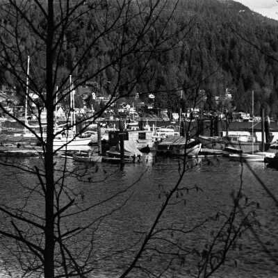 Boat Rentals and Deep Cove view