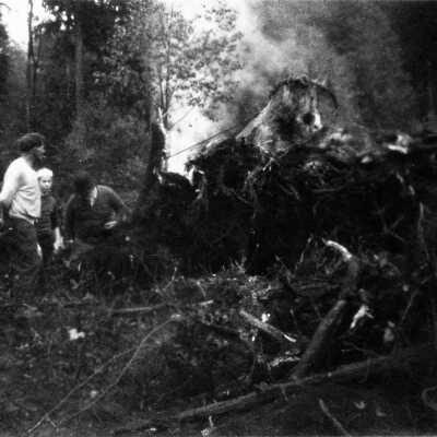 People clearing land