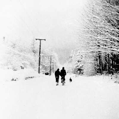 Two people and dog in heavy snowfall along Dollarton Highway