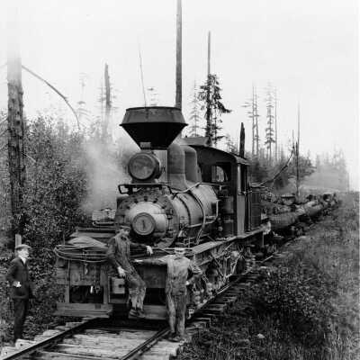 Logging Train, Shay Locomotive 50 tons