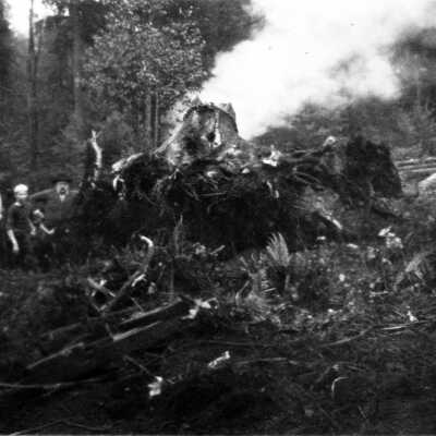 People clearing land