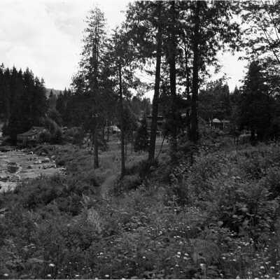 Ground for Panorama Park