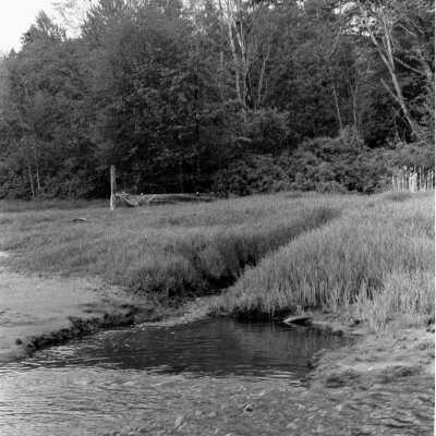 Maplewood Mudflats, Creek in front of squatter's shack