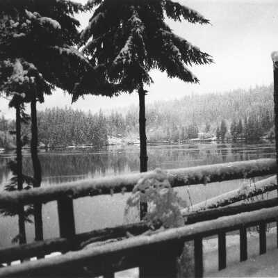 Ornate Log Gate at Quarries Lodge