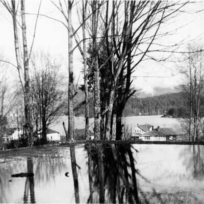 Dollarton Area and Indian Arm Scene