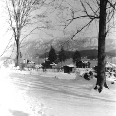 Worst Winter in 50 years