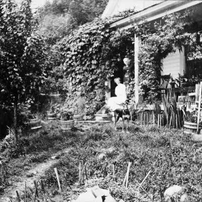 Irish house in Deep Cove