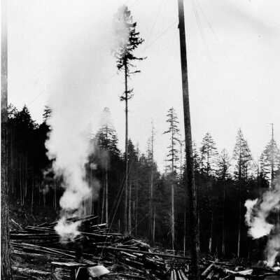 Loading Logs