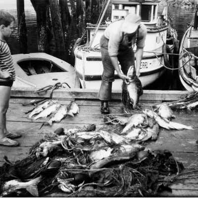 Fishing at Deep Cove