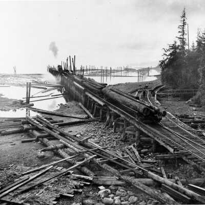 Log Dump