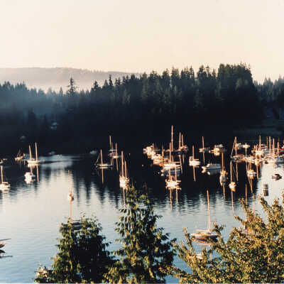 Deep Cove