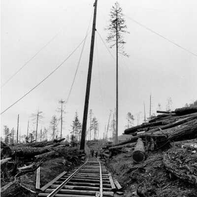 Landing for Loading Logs