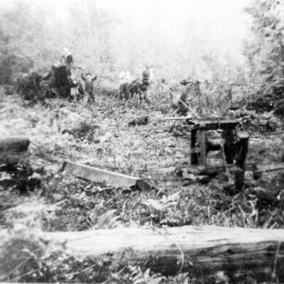Moore homestead, Removing stumps