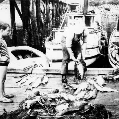 Fishing at Deep Cove