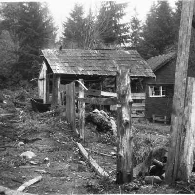 Moore house backyard