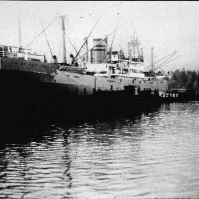 Dollar Lumber Mill