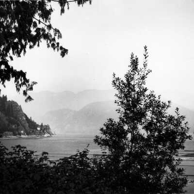 Deep Cove with Quarry, logs in Cove